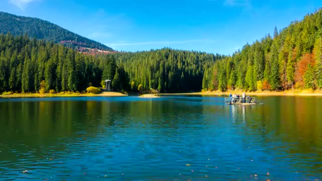 Stock Video Lake In The Middle Of A Large Pine Forest Smal Animated Wallpaper
