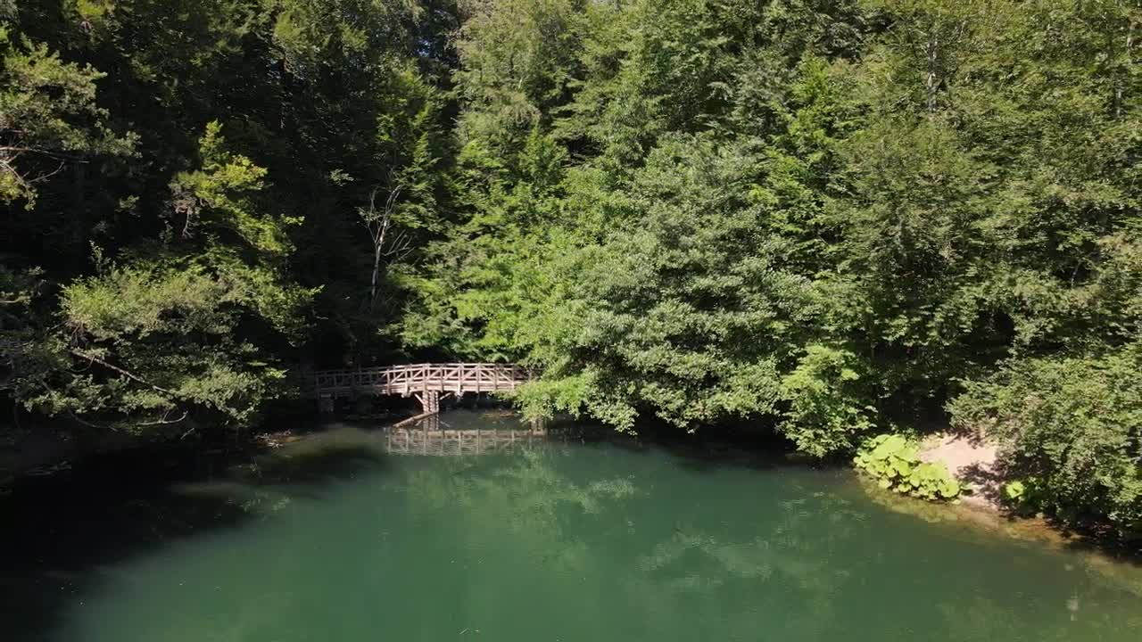 Stock Video Lake In A National Park In A Sunny Day Animated Wallpaper