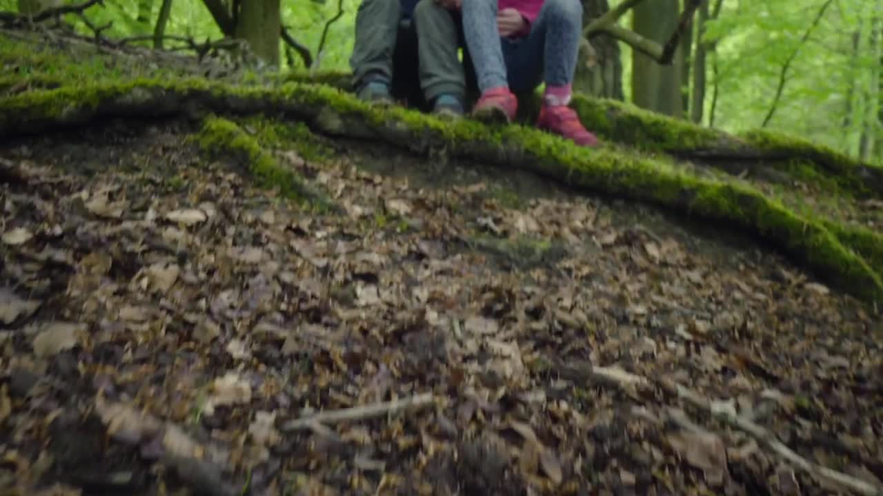 Stock Video Kids Hiking Animated Wallpaper