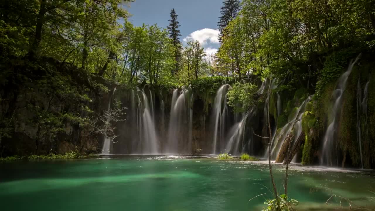 Stock Video Interior Of A Heavenly Cenote Animated Wallpaper