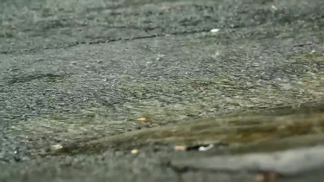 Stock Video Heavy Rain On A Road Surface Animated Wallpaper