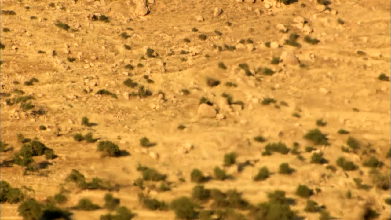 Stock Video Haze Across The Desert Animated Wallpaper