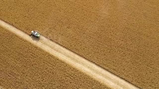 Stock Video Harvesting Large Fields Of Crops Smal Animated Wallpaper