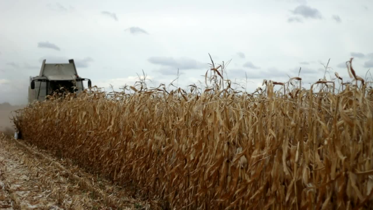 Stock Video Harvester Moving Through A Field Animated Wallpaper