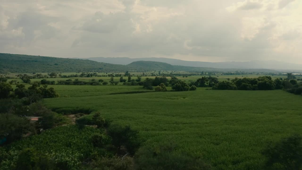 Stock Video Harvest Fields On A Cloudy Day Animated Wallpaper