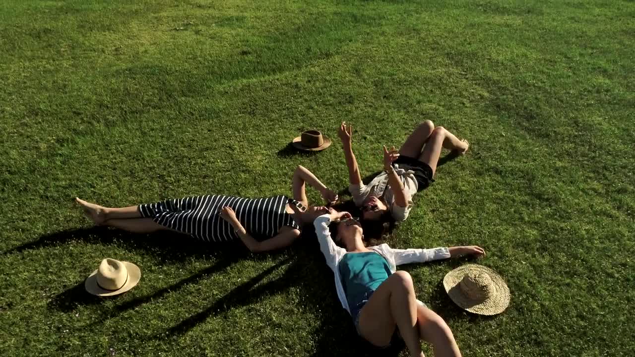 Stock Video Happy Friends Looking To The Sky In The Meadow Animated Wallpaper