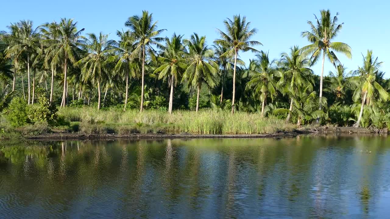 Stock Video Landscape In The Philippines Animated Wallpaper