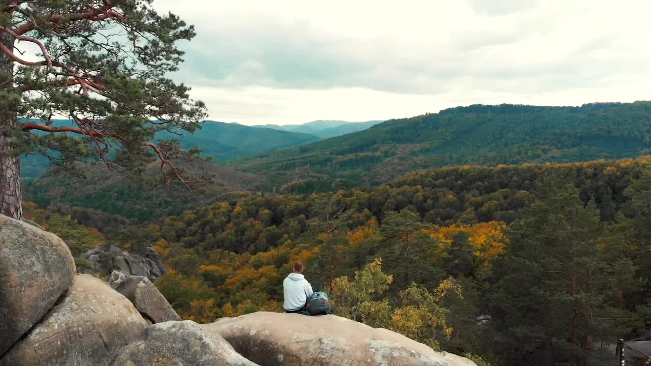 Stock Video Man Enjoying The View Of The Woods Animated Wallpaper