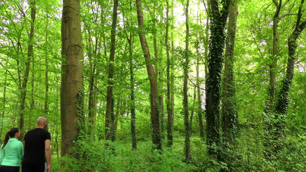 Stock Video Man And His Match Walking On The Forest Animated Wallpaper
