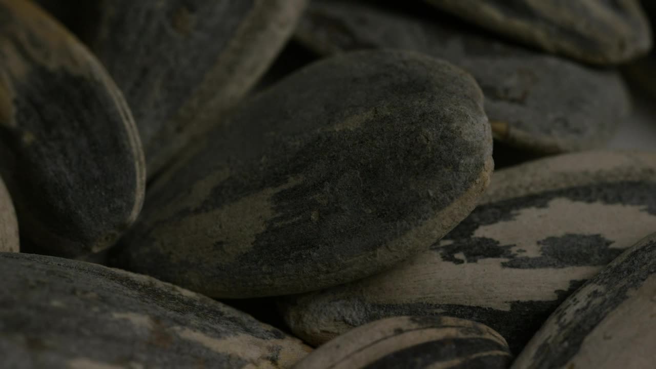 Stock Video Macro Shot Of Sunflower Seeds Animated Wallpaper