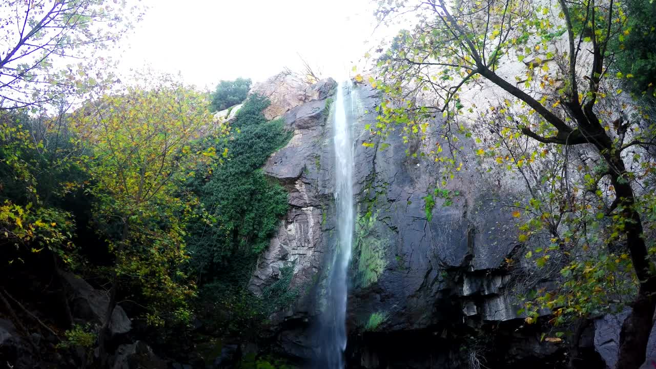 Stock Video Low View Of A Large Waterfall In A Rocky Forest Animated Wallpaper
