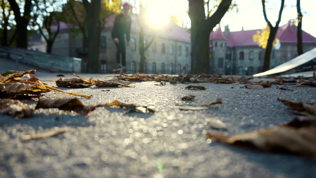 Stock Video Low Angle Of Skater Riding Through Autumn Leaves Animated Wallpaper