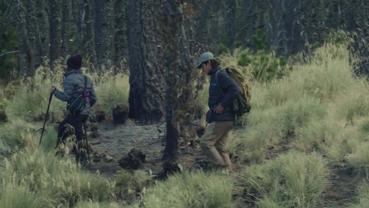 Stock Video Lovers Walking Through A Forest Animated Wallpaper