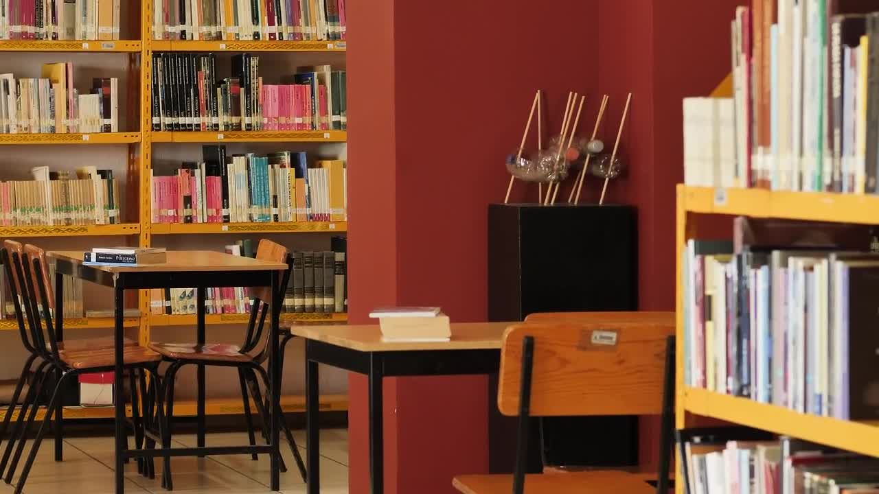 Stock Video Lonely Library Seen Carefully And In Detail Animated Wallpaper