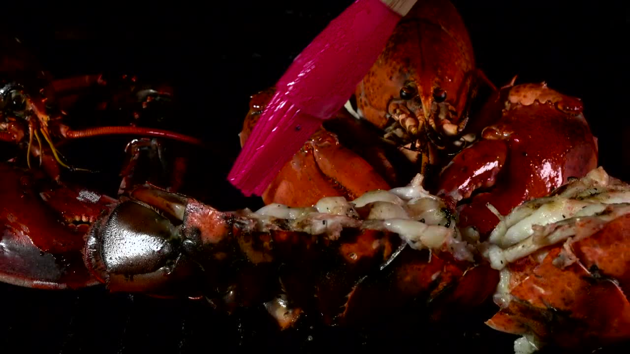 Stock Video Lobster Over A Grill Animated Wallpaper