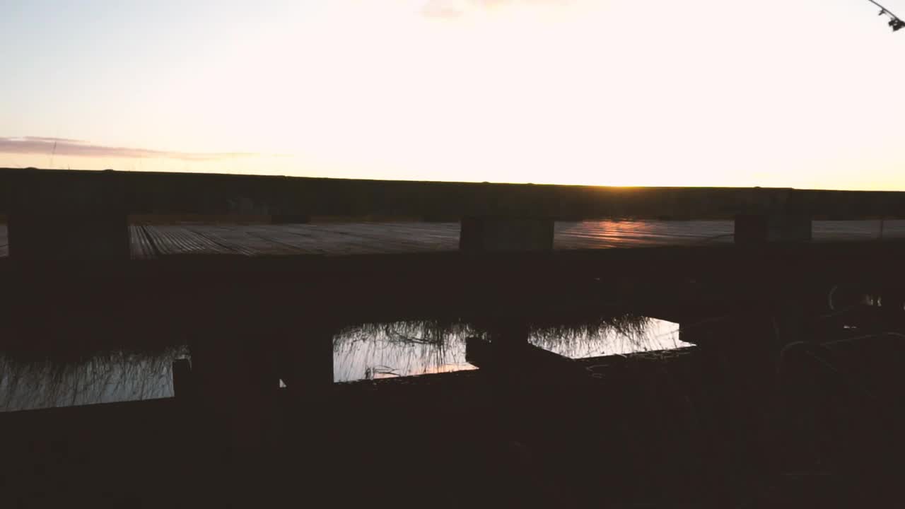 Stock Video Little Pedestrian Bridge In The Forest Animated Wallpaper