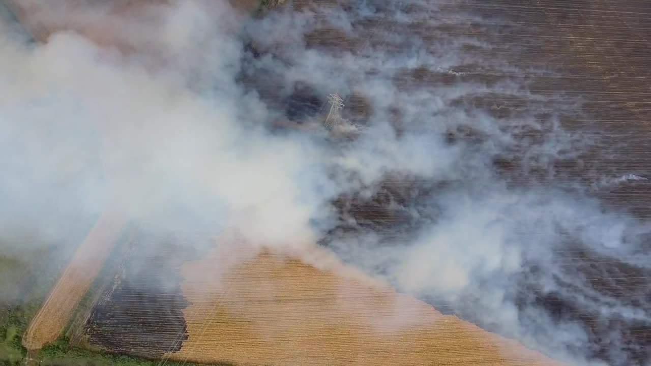 Stock Video Large Agricultural Fields Burning Animated Wallpaper