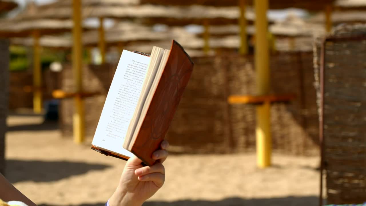 Stock Video Mother Reading At The Beac Animated Wallpaper