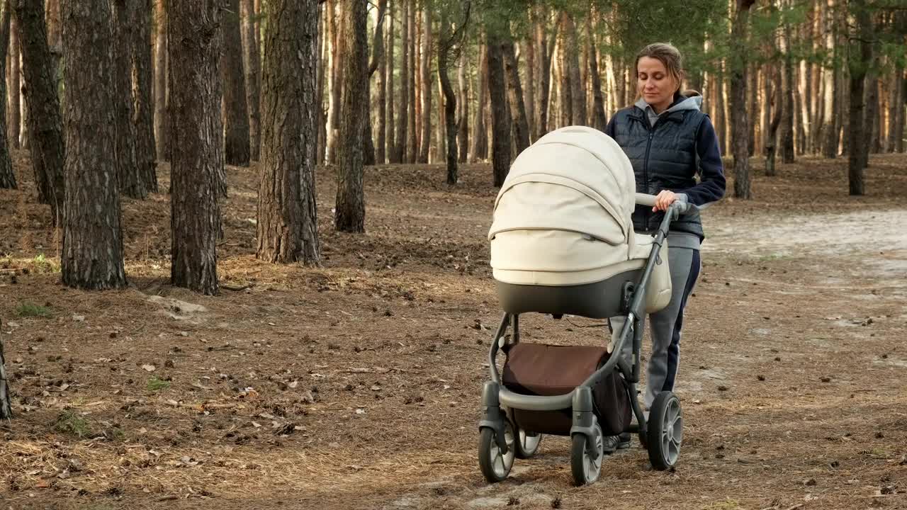 Stock Video Mother Lulling Her Baby In Stroller In A Par Animated Wallpaper