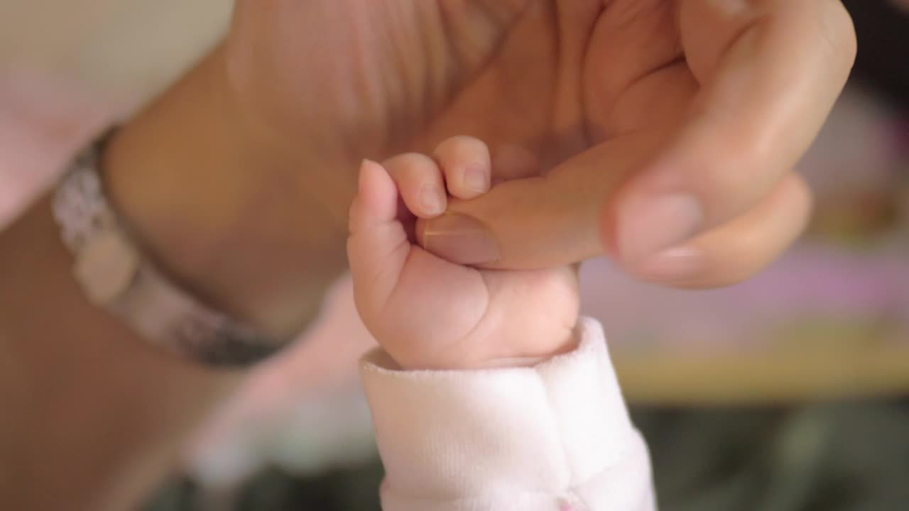 Stock Video Mother Holding Hands With Her Bab Animated Wallpaper