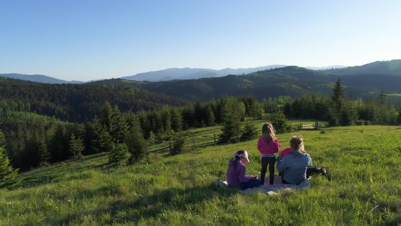 Stock Video Mother And Her Children In A Picni Animated Wallpaper