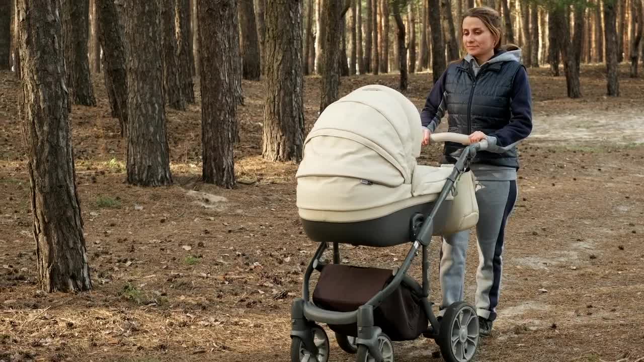 Stock Video Mom Strolling Her Baby In A Stroller In The Fores Animated Wallpaper