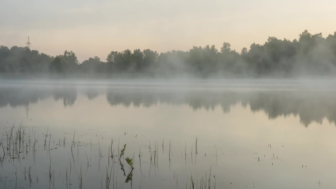 Stock Video Mist In The Lak Animated Wallpaper