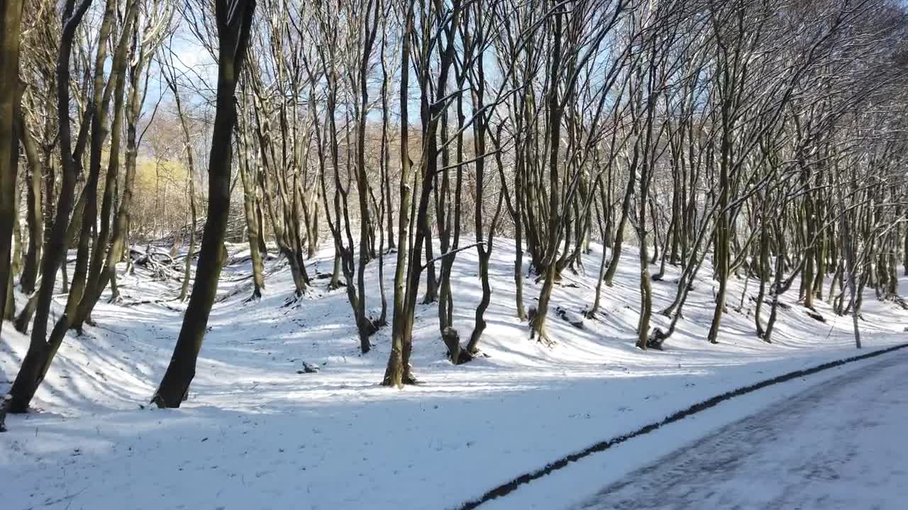 Stock Video Melting Snow By The Roa Animated Wallpaper