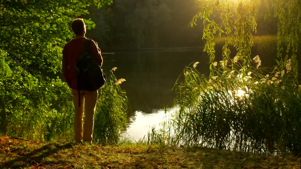 Stock Video Man Watching The Sunset On The Shore Of A Lak Animated Wallpaper