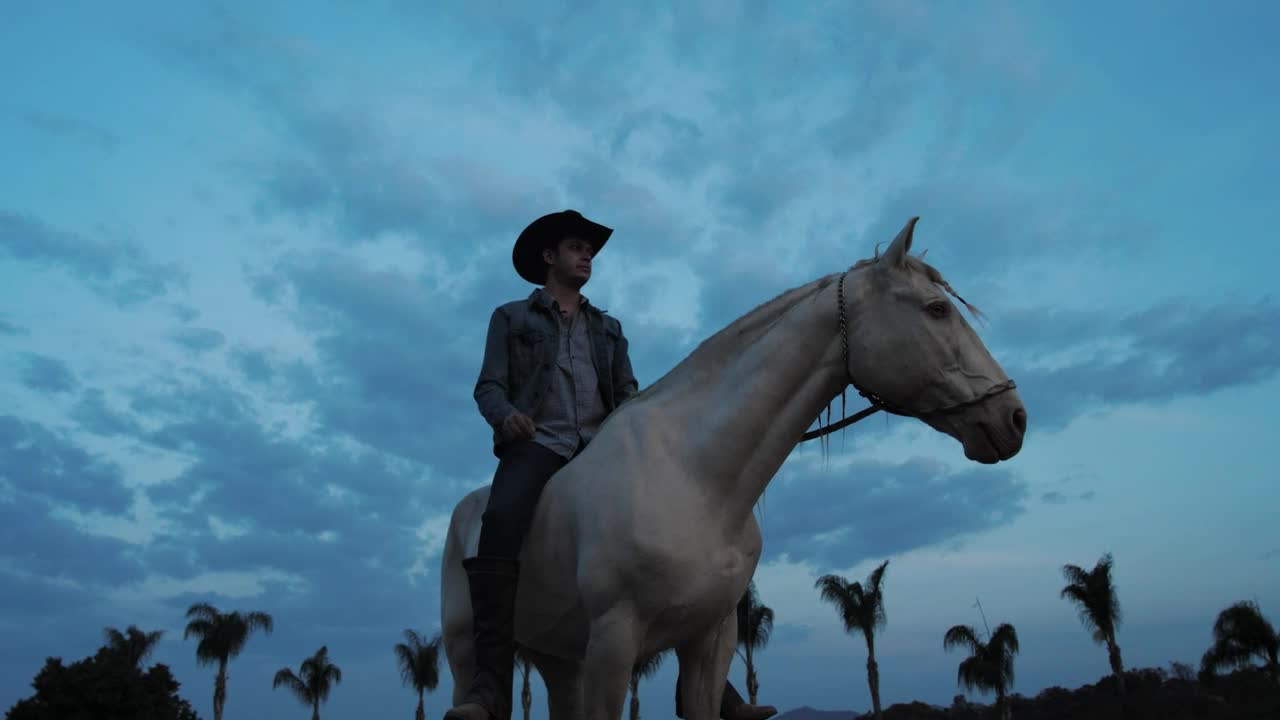 Stock Video Man Sitting On White Hors Animated Wallpaper