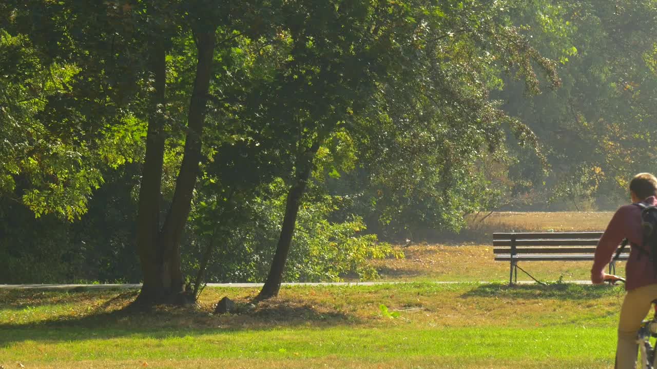 Stock Video Man Riding His Bicycle On The Par Animated Wallpaper