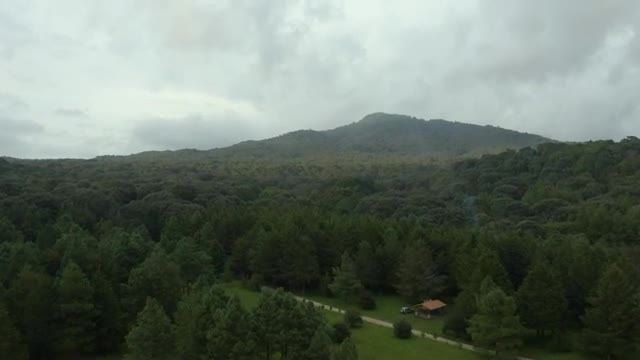 Stock Video Mountain Covered By A Large Forest Seen From Above Live Wallpaper