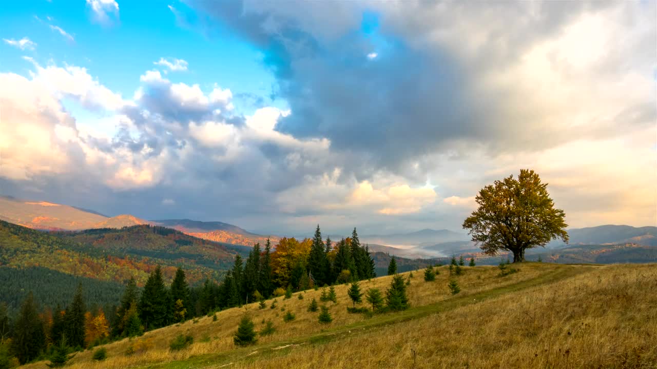 Stock Video Mountains And Forest On A Cloudy Day Live Wallpaper