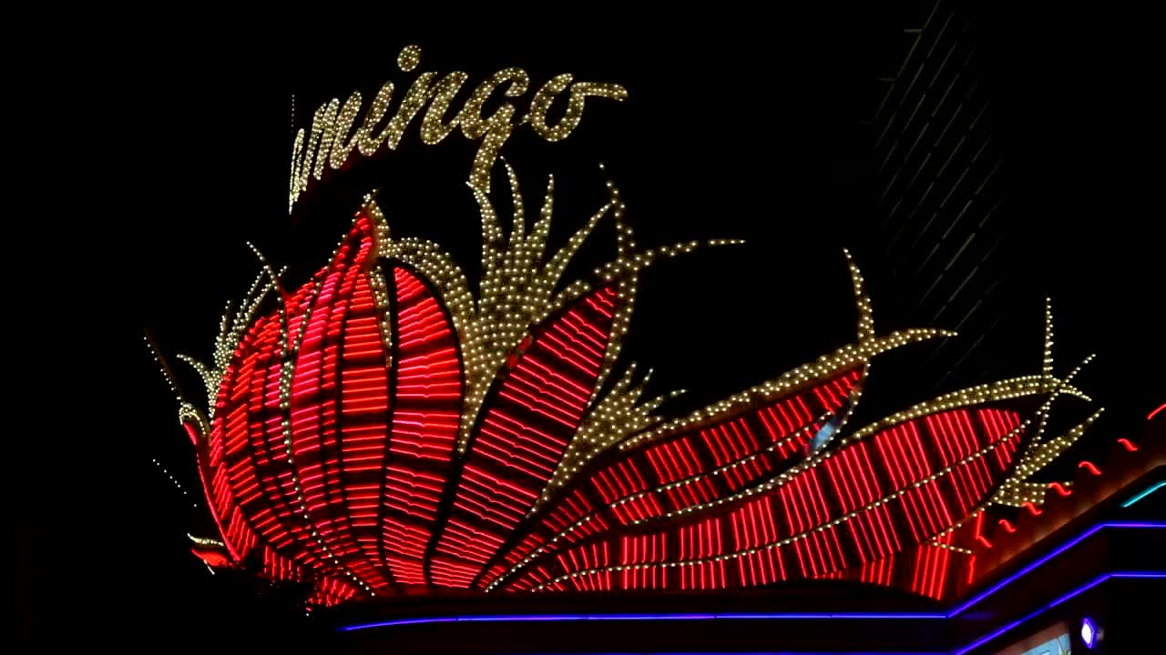 Stock Video Neon Flashing Lights Sign Live Wallpaper