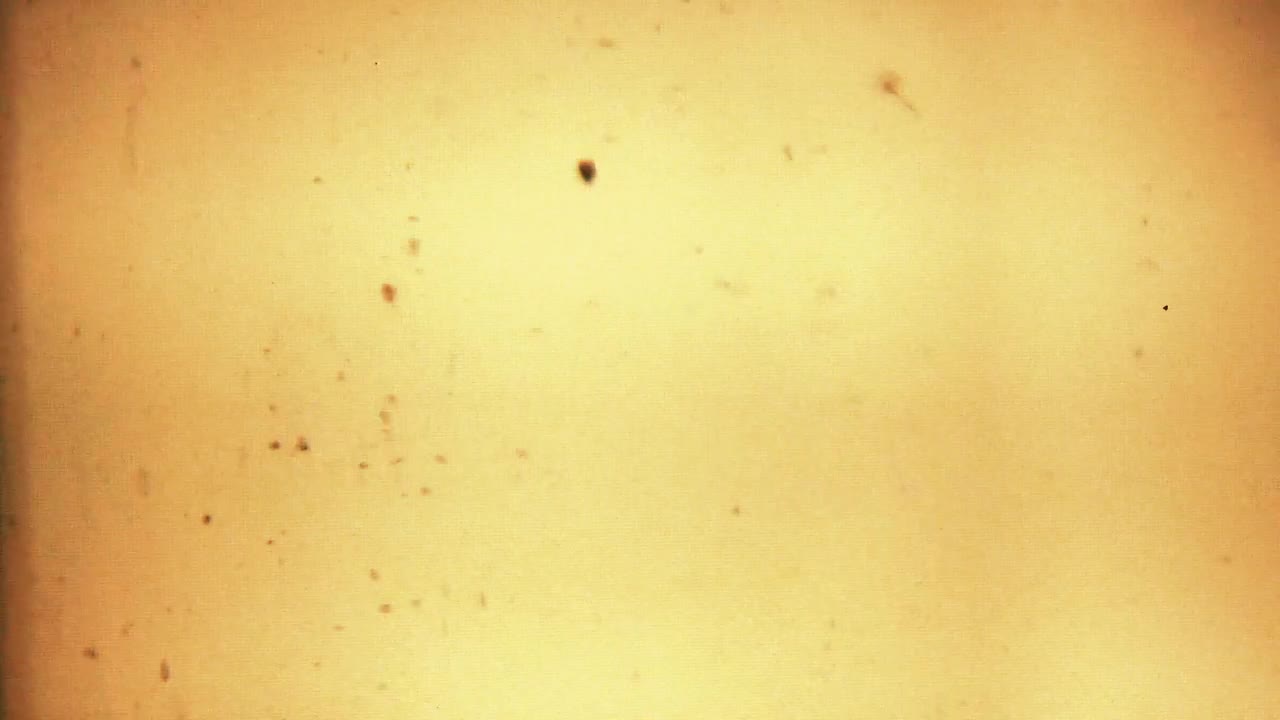 Stock Video Old Film Playing On A White Background Live Wallpaper