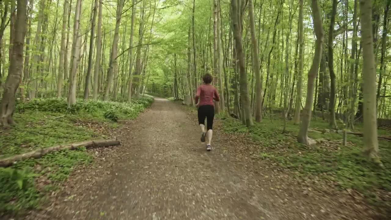 Stock Video Out For A Run Live Wallpaper