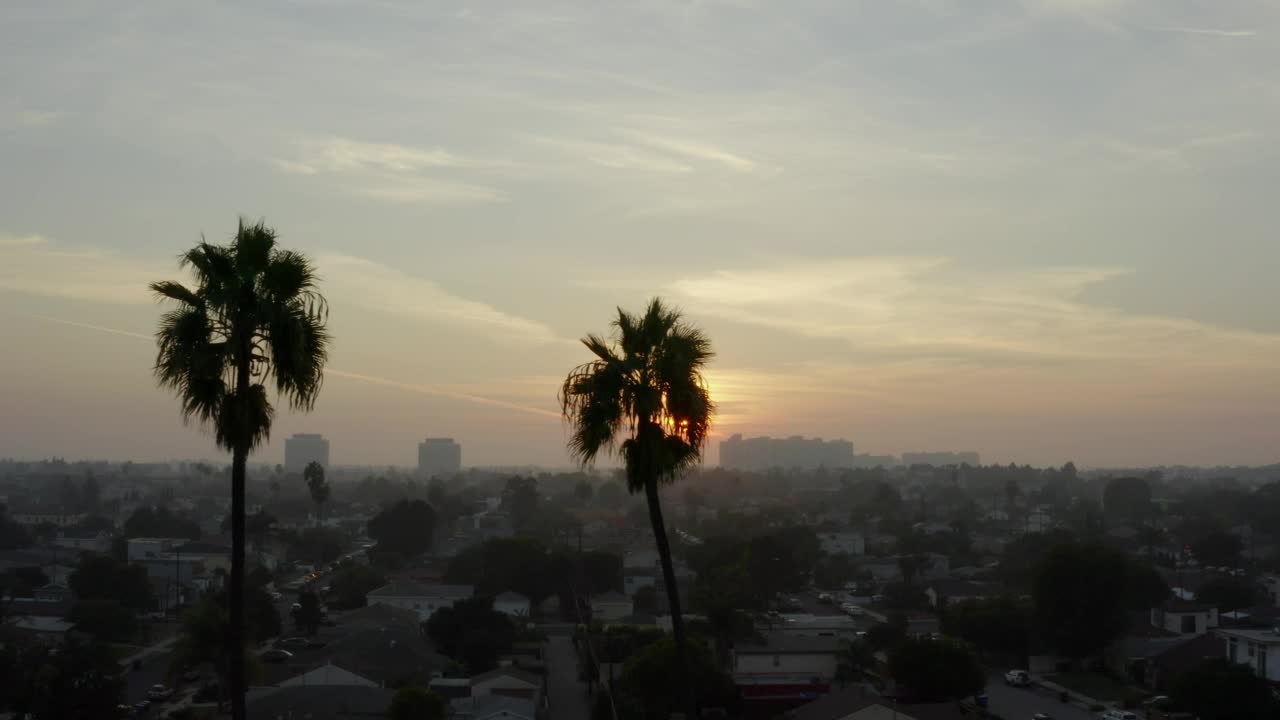 Stock Video Palm Trees In The Venice City View At Sunset Live Wallpaper