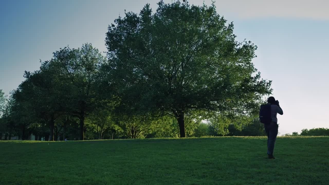 Video Stock Person Taking Photos Outdoors In A Meadow Live Wallpaper Free