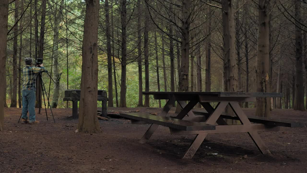 Video Stock Photographer In A Forest Live Wallpaper Free