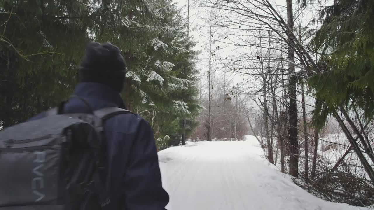 Video Stock Photographer Walking On Snow In A Forest Live Wallpaper Free