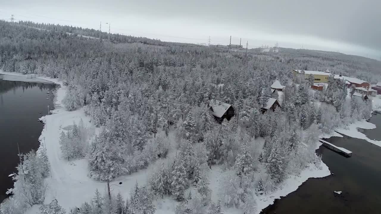 Video Stock Pines Covered In Snow Live Wallpaper Free