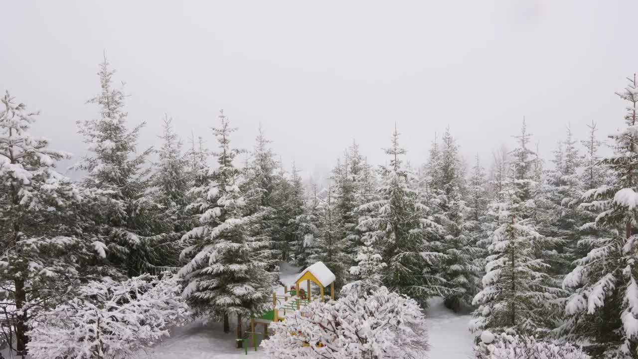 Video Stock Playground In A Snowy Forest Live Wallpaper Free