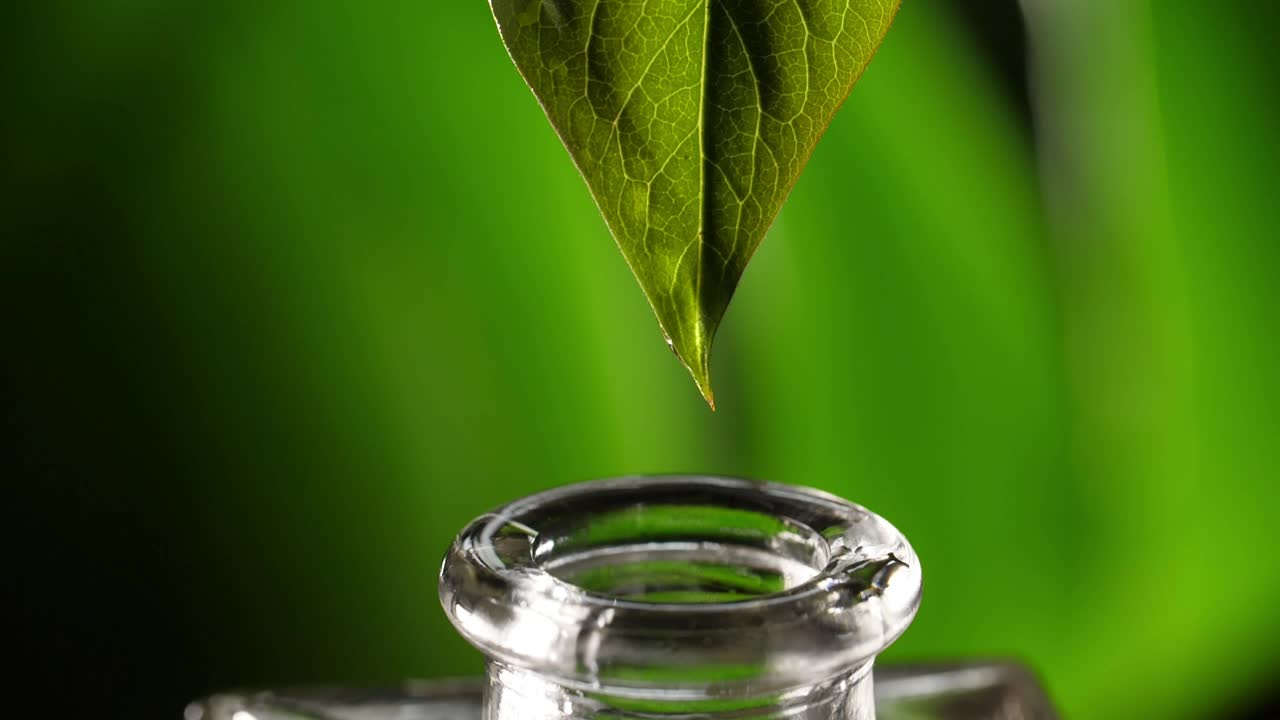 Video Stock Preparing Alternative Therapy Oil Live Wallpaper Free