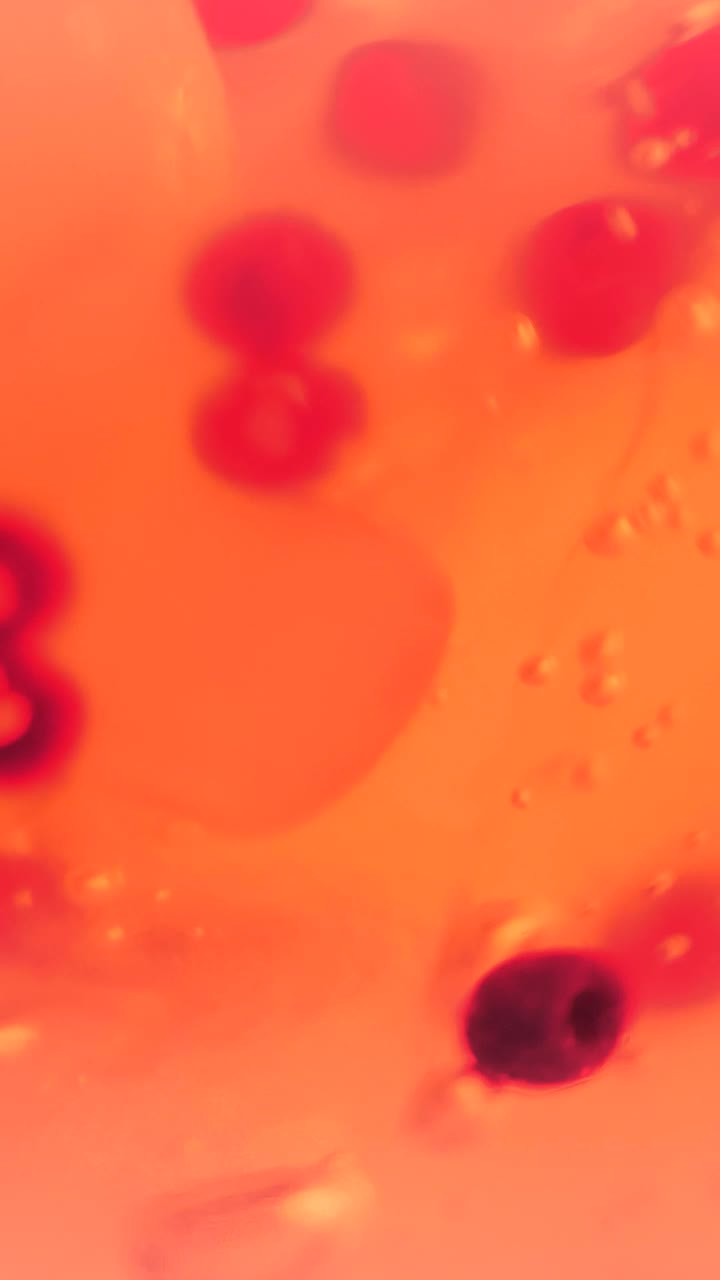 Video Stock Preserved Viruses Live Wallpaper Free