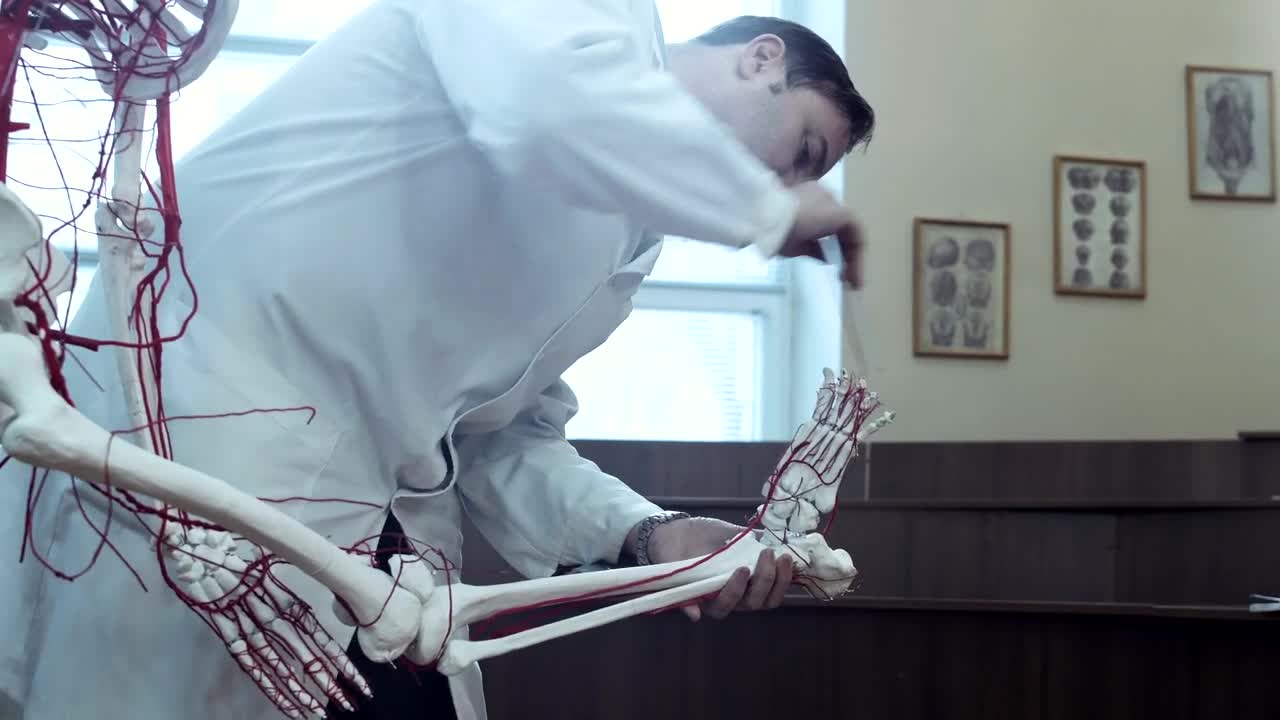 Video Stock Professor Teaching Human Anatomy At The University Live Wallpaper Free