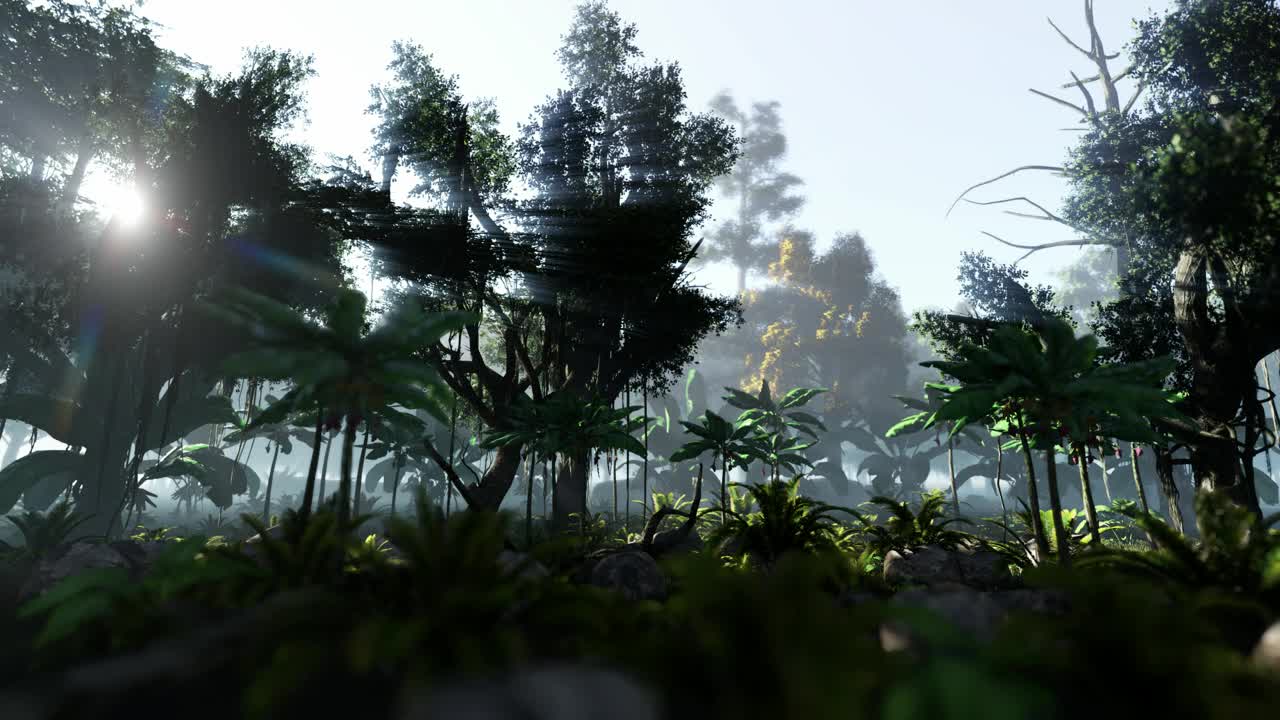 Video Stock Quiet Morning In The Jungle Live Wallpaper Free