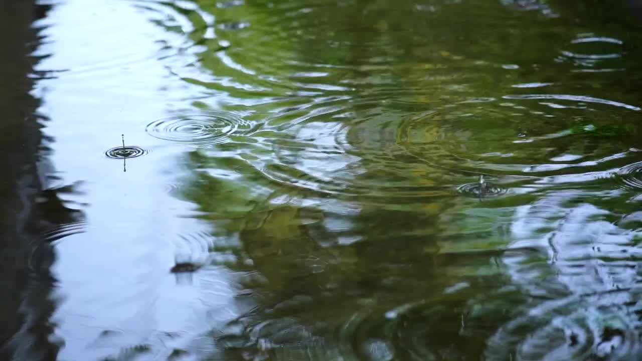 Video Stock Rain Falling On The Water Of A Lake Seen Up Live Wallpaper Free
