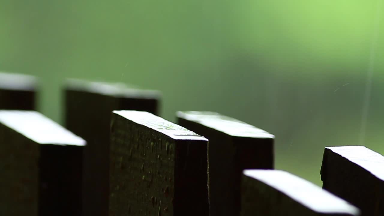 Video Stock Rainfall On A Wooden Fence Live Wallpaper Free