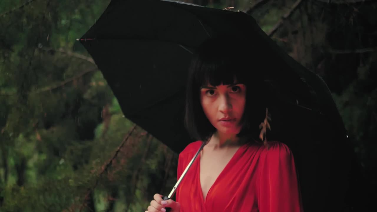 Free Stock Video Reverse Video Of A Young Woman With Umbrella In The Live Wallpaper
