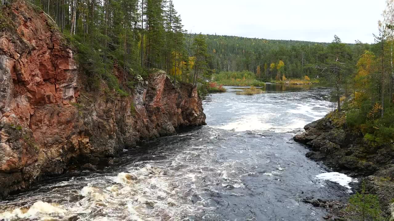 Free Stock Video River Ending In A Lake Surrounded By A Green Forest Live Wallpaper